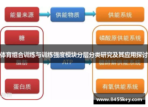 体育组合训练与训练强度模块分层分类研究及其应用探讨