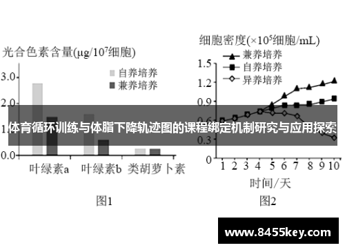 体育循环训练与体脂下降轨迹图的课程绑定机制研究与应用探索